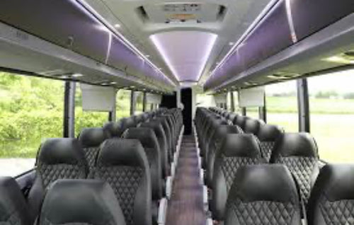 Calimex Transportation Consulting